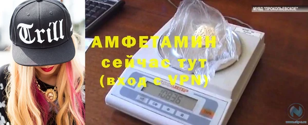 стаф Вязьма