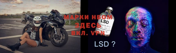 стаф Вязьма