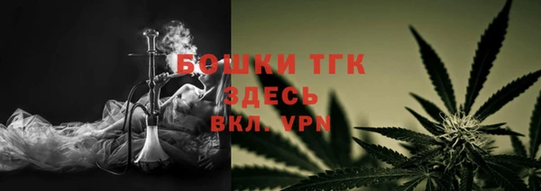 ешки Вяземский