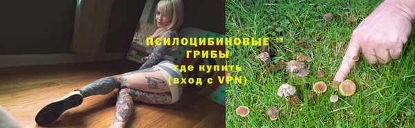 ешки Вяземский