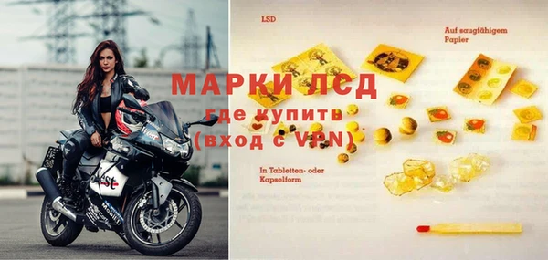 стаф Вязьма