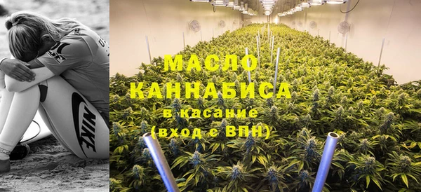 стаф Вязьма