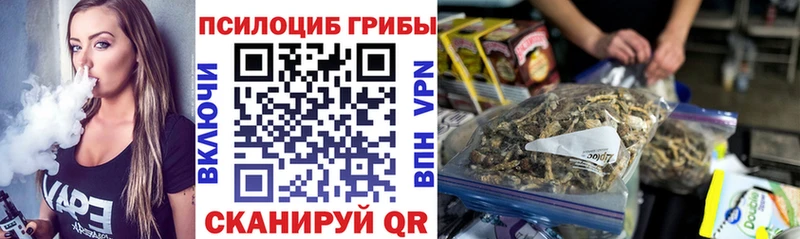Галлюциногенные грибы Psilocybe Калтан
